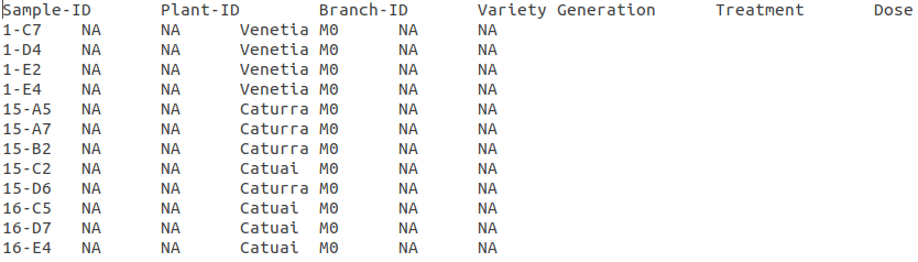 passport-file